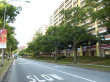 Blk 492A Tampines Street 45 (S)521492 #93162